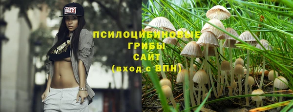 дурь Алзамай