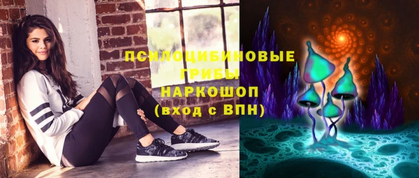 дурь Алзамай