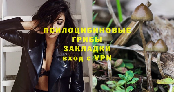 прущие крисы Алексеевка