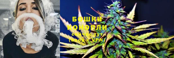 таблы Осинники