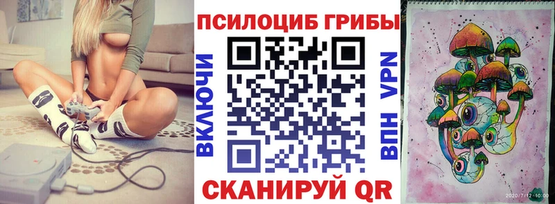 ОМГ ОМГ как зайти  Мичуринск  Псилоцибиновые грибы мухоморы  купить  цена 